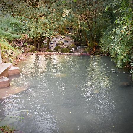 Mamallena Eco LodgeLa Laguna de San Carlos 部屋 写真