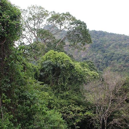 Mamallena Eco LodgeLa Laguna de San Carlos エクステリア 写真