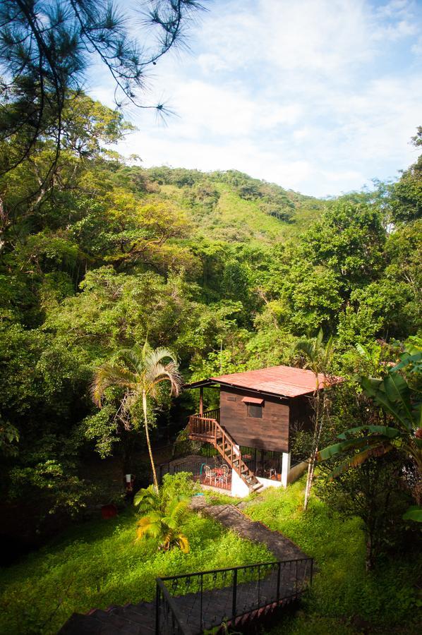Mamallena Eco LodgeLa Laguna de San Carlos 部屋 写真