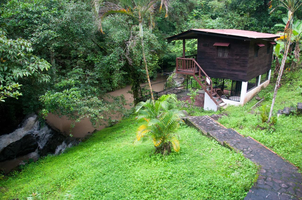 Mamallena Eco LodgeLa Laguna de San Carlos 部屋 写真