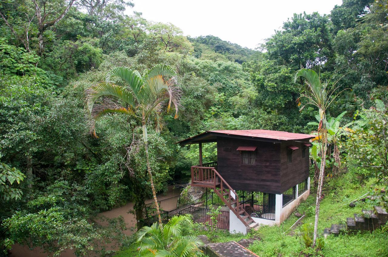 Mamallena Eco LodgeLa Laguna de San Carlos エクステリア 写真
