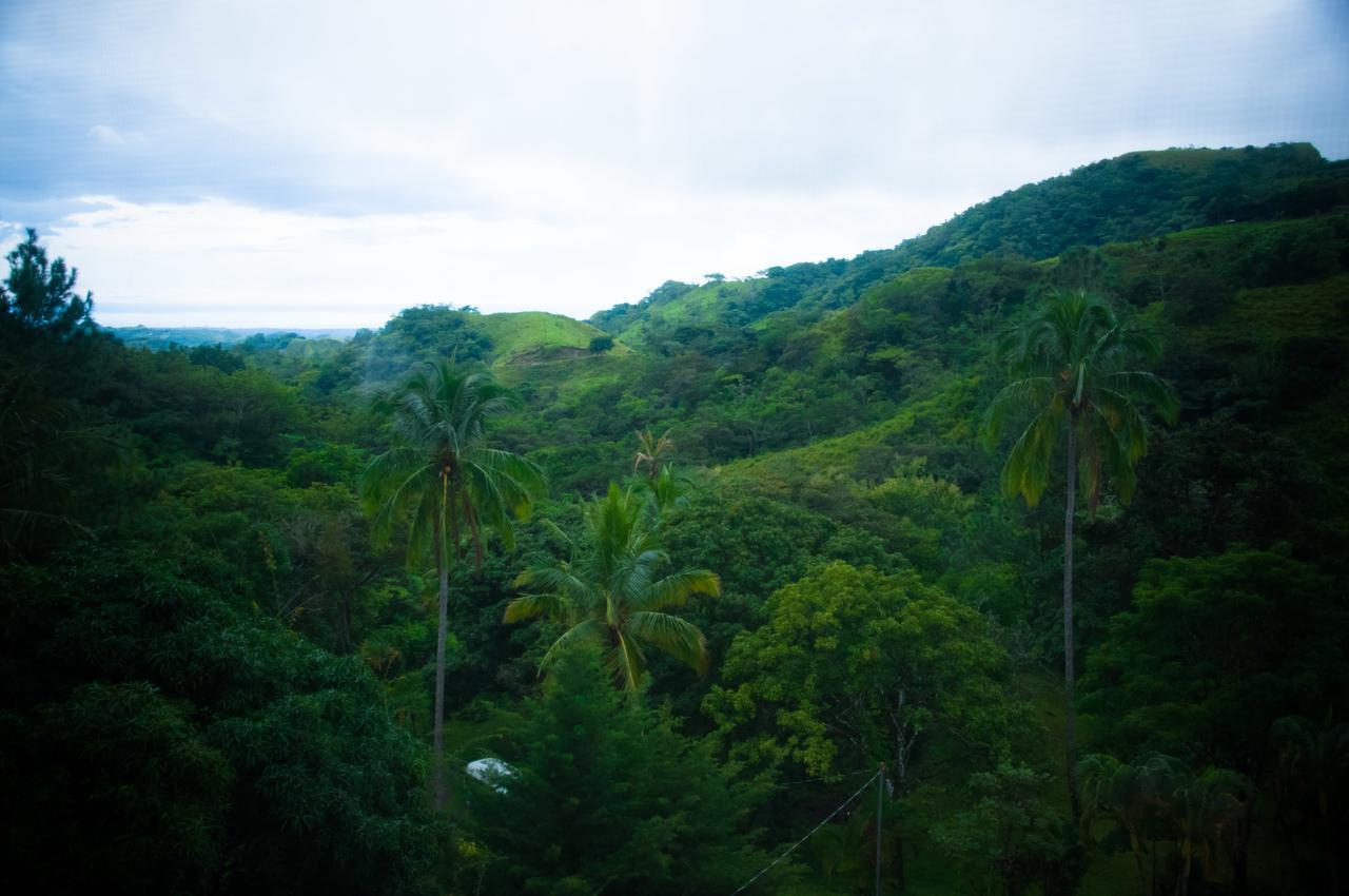 Mamallena Eco LodgeLa Laguna de San Carlos エクステリア 写真