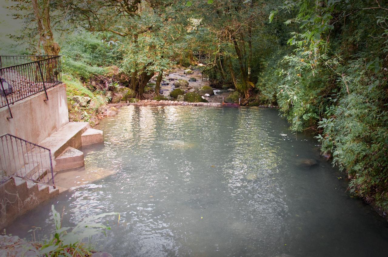 Mamallena Eco LodgeLa Laguna de San Carlos 部屋 写真
