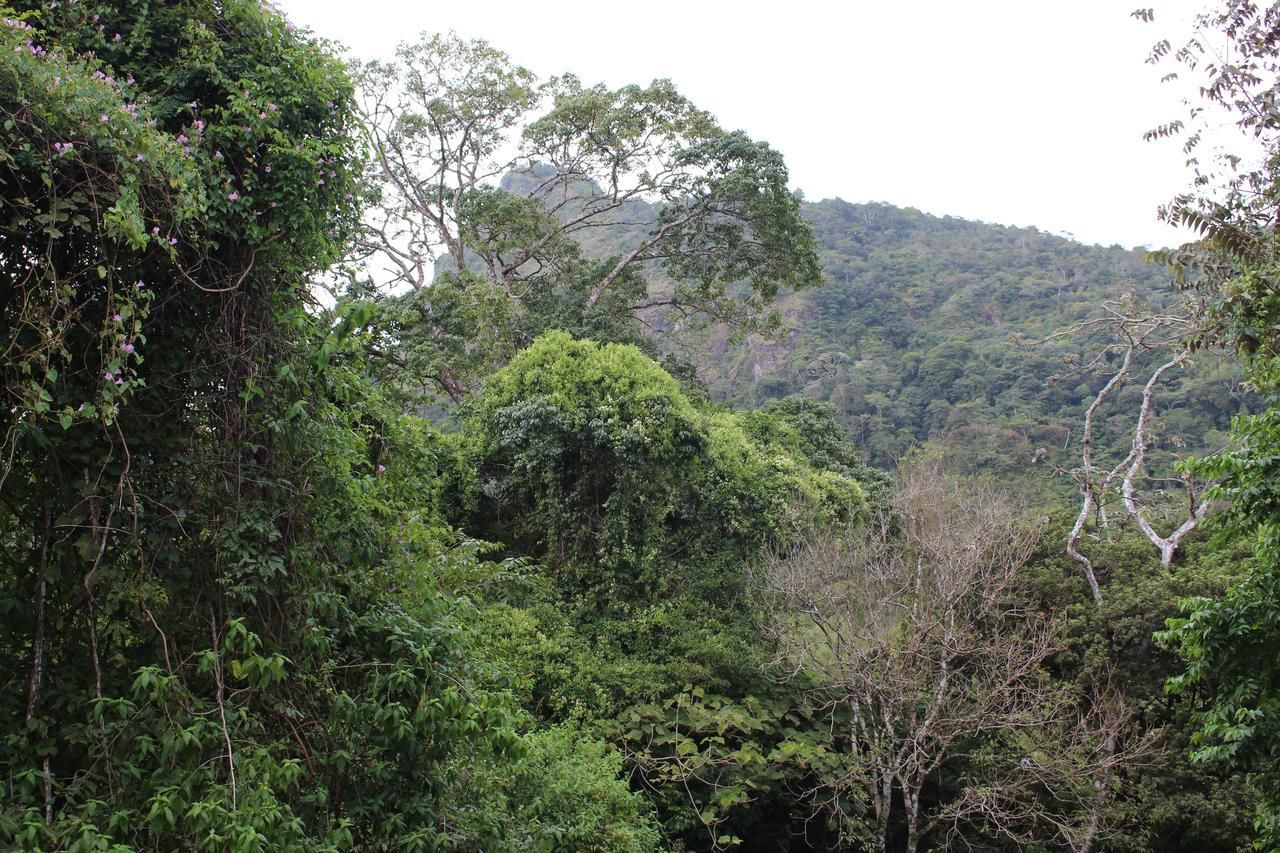 Mamallena Eco LodgeLa Laguna de San Carlos エクステリア 写真
