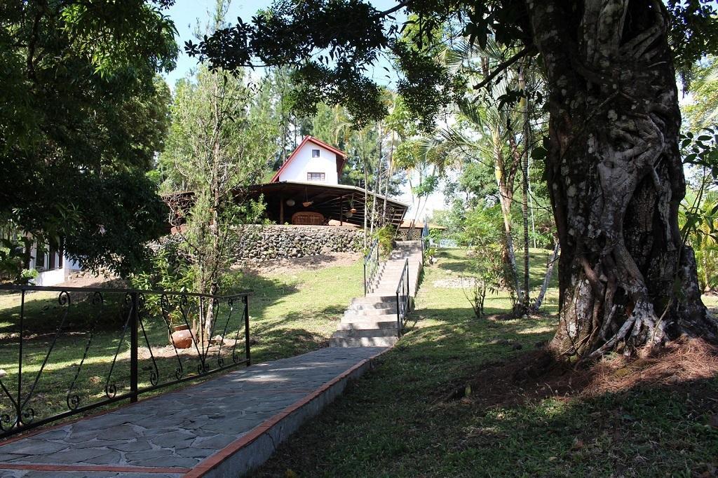Mamallena Eco LodgeLa Laguna de San Carlos エクステリア 写真