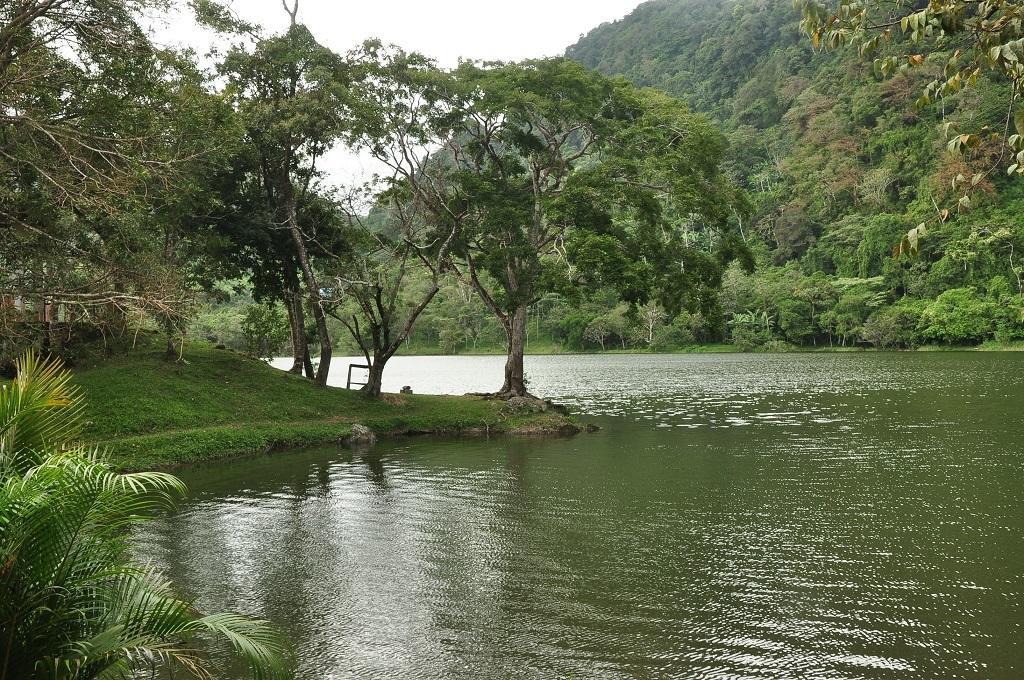 Mamallena Eco LodgeLa Laguna de San Carlos エクステリア 写真
