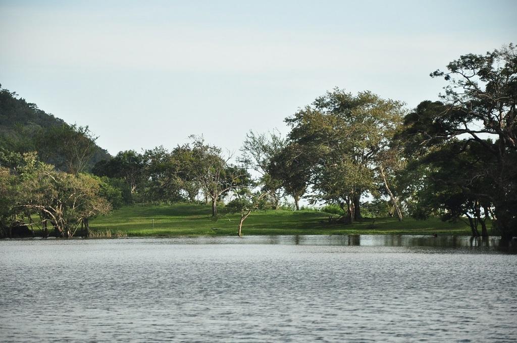 Mamallena Eco LodgeLa Laguna de San Carlos エクステリア 写真