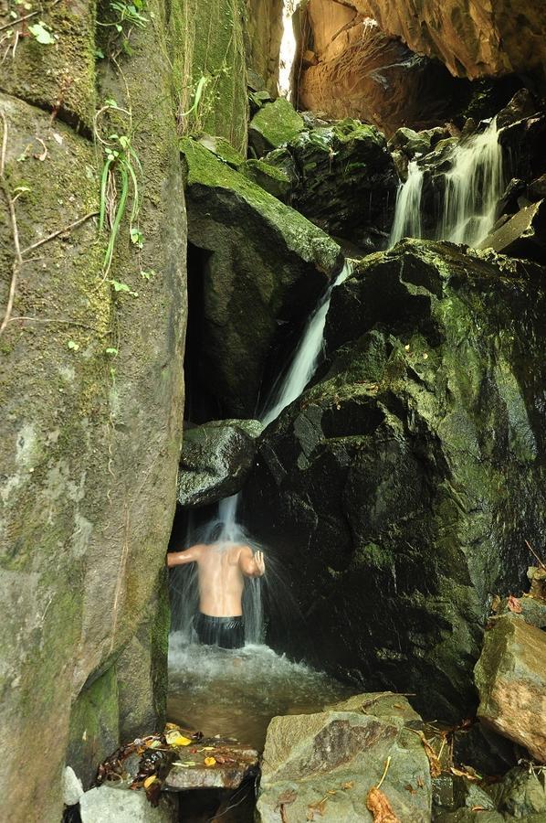 Mamallena Eco LodgeLa Laguna de San Carlos エクステリア 写真
