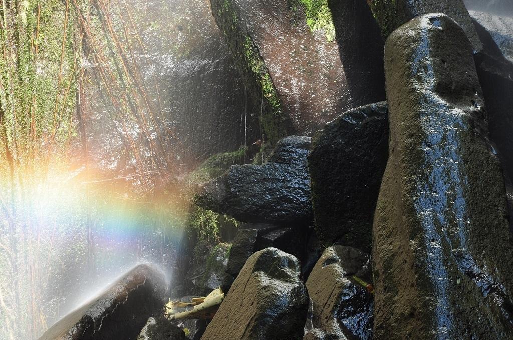 Mamallena Eco LodgeLa Laguna de San Carlos エクステリア 写真