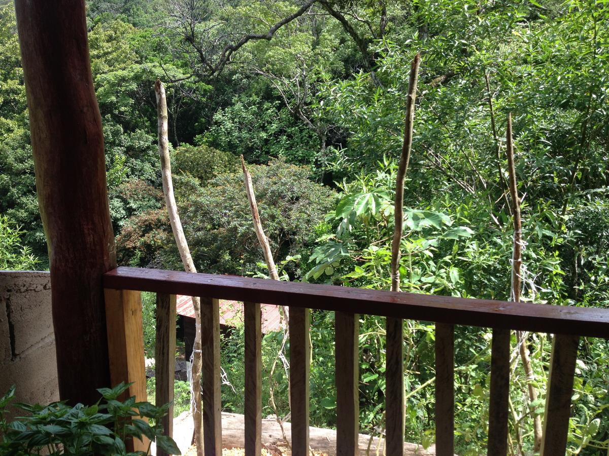 Mamallena Eco LodgeLa Laguna de San Carlos エクステリア 写真